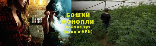 MESCALINE Гусев